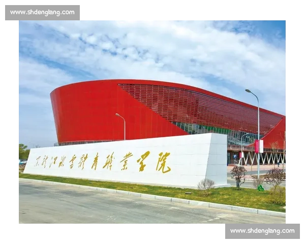 职业联赛改革与发展路径探索：打造更加公平竞争的现代体育体系