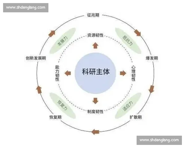 以提升个人与组织韧性为核心的适应能力全面发展策略
