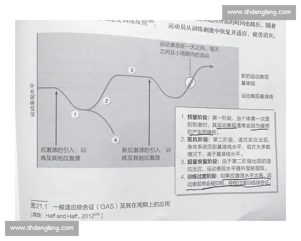 体育科学视角下运动训练优化与人体机能提升研究